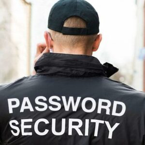 Perfect password security